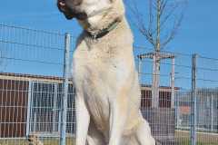 1763_A_23-Buddy-Bild3