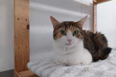 2092_F_23-Lilly-Bild3