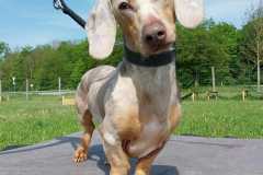 2174_A_24-Manni-Bild2