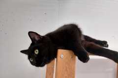 2178_F_24-Olivia-Bild3