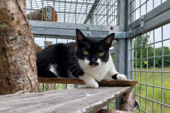 2306_A_24-Sally-Bild1