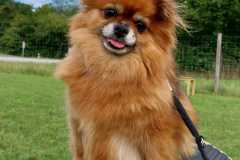 2399_A_24-Fienchen-Bild1