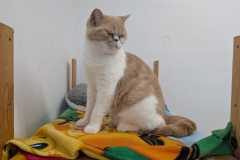 2473_A_24-Flora-Bild4