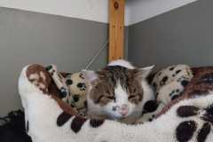 2499_F_24-Konny-Bild3