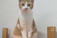2479_A_24-Buffy-Bild3