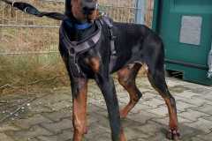 2694_A_25-Eddy-Bild2
