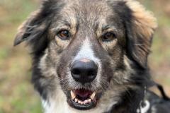 2735_A_25-Paula-Bild1