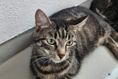 2825_F_25-Anika-Bild3