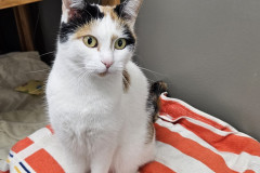 2874_A_25-Izzy-Bild1