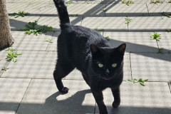 2911_F_25-Gerry-Bild5