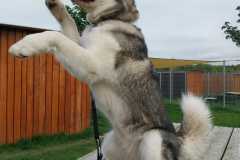 2964_A_25-Bella-Bild3