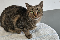 2982_F_25-Farrah-Bild2