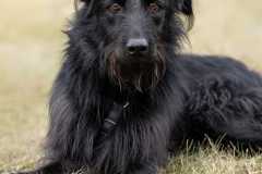 2002_A_23-Kermit-Bild2