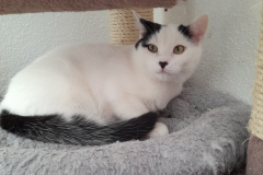 2902_F_25-Volker-Bild3