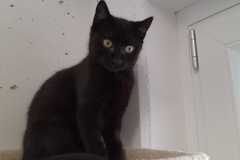 2977_F_25-Heidi-Bild1