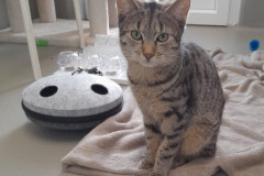 2978_F_25-Hanni-Bild1