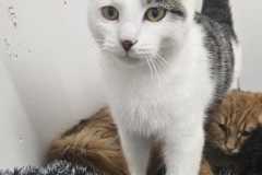 3019_F_25-Peterle-Bild2