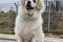 3039_A_25-Jacy-Bild1