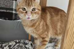 3050_F_25-Zero-Bild3