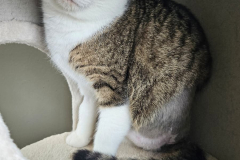 3093_F_26-Halvar-Bild2