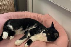 3122_A_26-Kira-Bild2